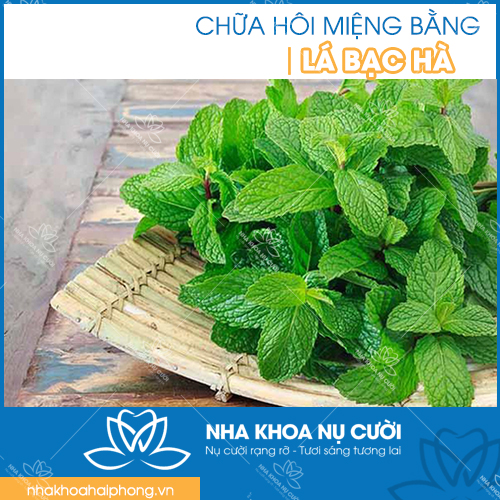chua-hoi-mieng-tai-hai-phong