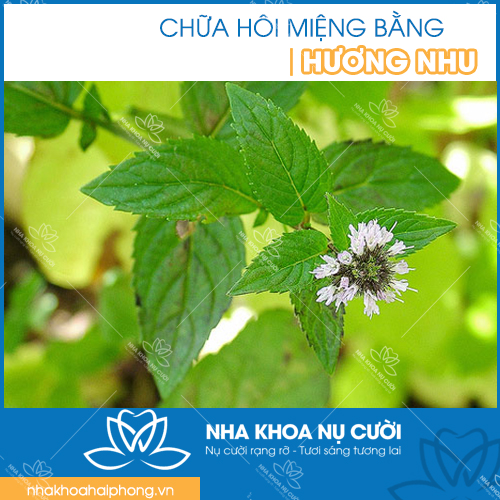 chua-hoi-mieng-tai-hai-phong