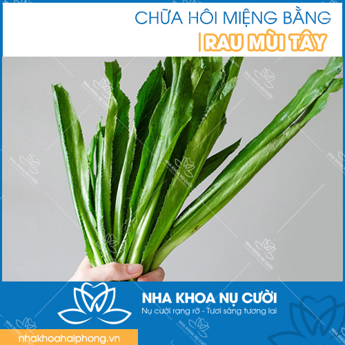 chua-hoi-mieng-tai-hai-phong