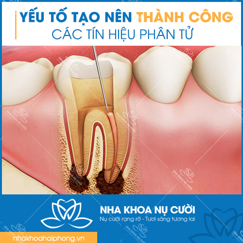 phuong-phap-tai-sinh-mach-mau-tuy-rang