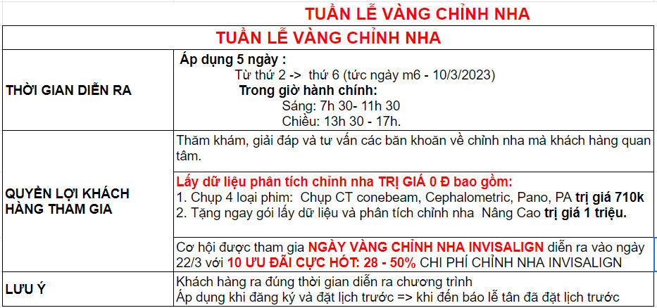 TUẦN LỄ VÀNG CHỈNH NHA