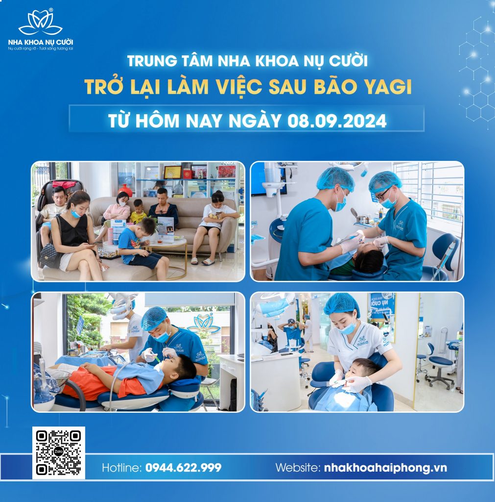 sau-bao-yagi