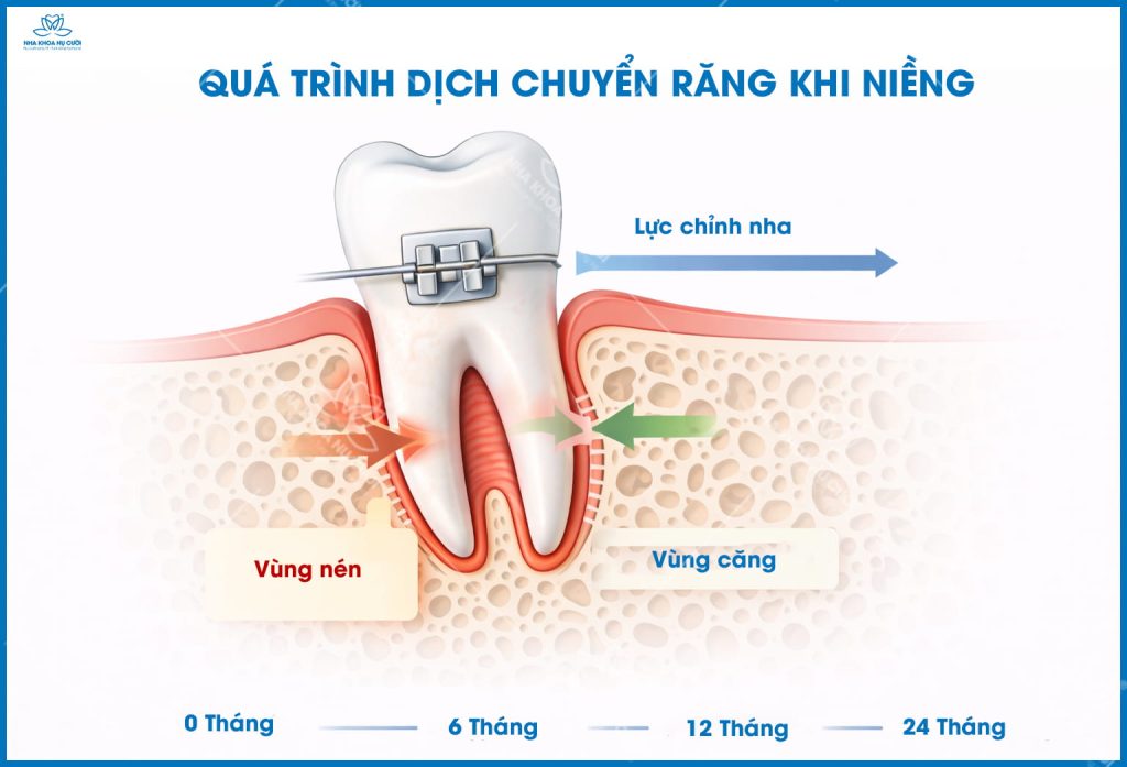Qua-trinh