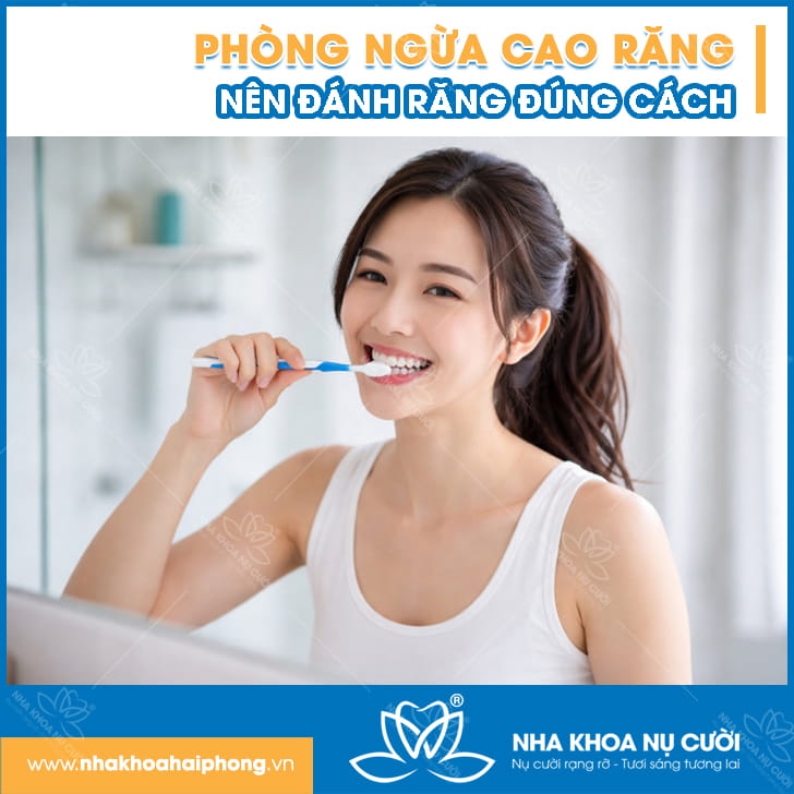 phong-ngua