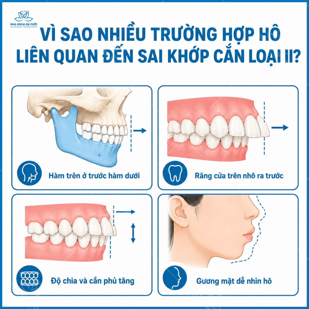 giai-thich-truong-hop-ho